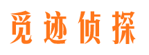 霞山市私家侦探